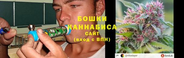 крисы Дмитриев