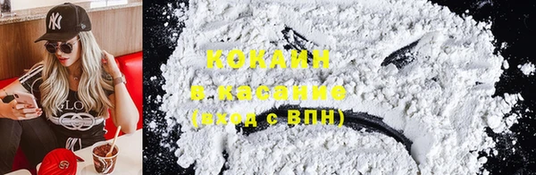 крисы Дмитриев