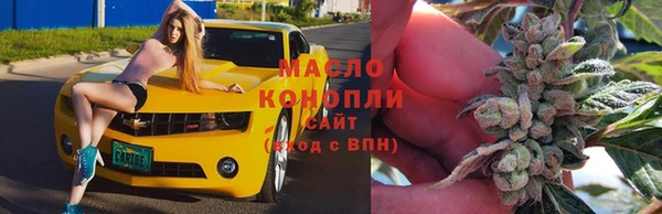 крисы Дмитриев